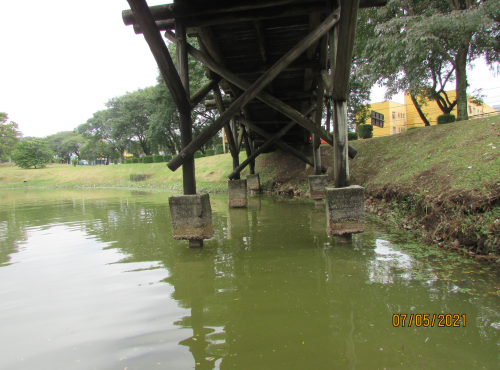 Jardim Botânico